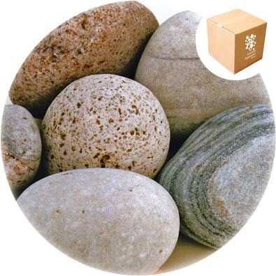 Specialist Aggregates ® - Caledonian Large Cobbles 80-120mm - 15kg | Premier Grade | Hand Selected | Fully Rounded | Decorative | Ponds | Features | Gabions