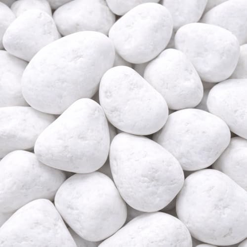 TODOSTONES Canto Rodado Saco Blanco Especial (99%) (10 Kg, Tamaño: 20-40mm)