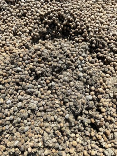 The Waterspout - Premium Rabbit Manure Fertilizer - Organic - 2 Pound Bag