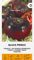 Zalia stotele | SEMILLAS DE TOMATE PRÍNCIPE NERO | Semillas de hortalizas | Semillas Tomate | Semillas de plantas | Semillas de jardín | 1 paquete