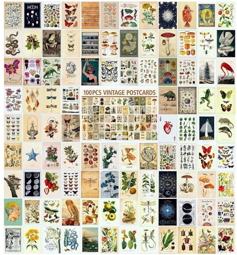 LCLAIDYDY 100 PCS Vintage Postcard Set,Post Cards for Mailing 4x6 Retro Style Cottagecore Botanical Ephemera Aesthetic Postcards Pack for Adults Collage Collection DIY Cardstock Paper
