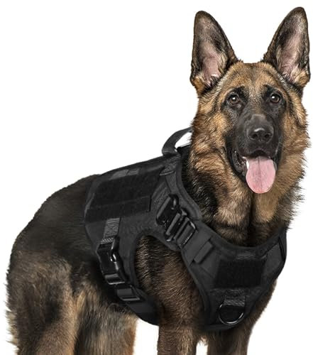 rabbitgoo No Pull Hundegeschirr Mittlere Grosse Hunde, Taktische Brustgeschirr mit MOLLE Griff Metallschnallen, Atmungsaktiv Militär Sicherheitsgeschirr, Verstellbares Gepolstert Hundeweste XL Schwarz