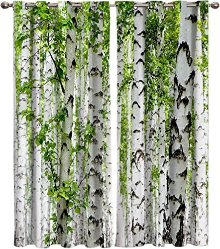 POKENE Vorhang Wald Blickdicht Gardinen mit Ösen 3D Druck Birke Blickdichte Vorhänge Erwachsener Vorhang Verdunkelung Wärmeisolierend Wohnzimmer Schlafzimmer 2 Stück 91.5x214 cm (BxH)