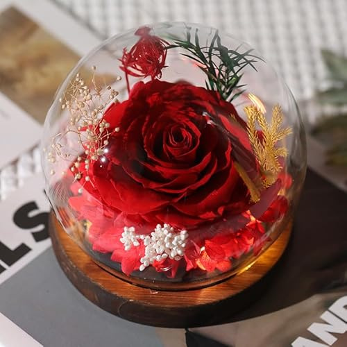 Gugxiom Eternal Rose in Glass with Light, Infinity Rose, Ewige Rote Rosen, Preserved Real Flowers für Women, Girlfriend, Mum, Grandma, Christmas, Mother's Day, Valentine's Day Gifts (Rot)