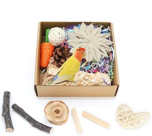 MQUPIN Papagei Spielzeug Vogel Futterspielzeug zum Zerkleinern Papageienspielzeug Natürliche Futterspielzeuge, Kauspielzeug für kleine Papageien,Vogelspielzeug