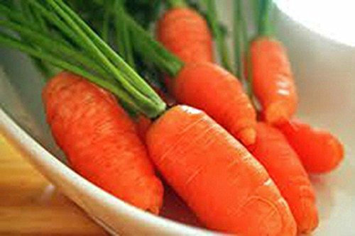 Carota, Little Fingers Semi, biologica, non OGM, 1000+ Seeds