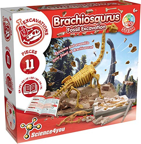 Science4you Brachiosaurus Dinosaur Fossil Digging Kit - Excavate and Assemble 11 Pieces Dino Bones, Archeology, Paleontologist + Dinosaurs for Kids, Stem Toys for Girls and Boys 6 7 8 9+ Years Old