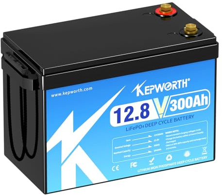 Lifepo4 Akku 12v 300ah Autobatterie mit BMS Ersetzt AGM oder Gel Aufbau Batterie für Wohnmobil, Boot, Camping oder Solaranlage - mit lifepo4 ladegerät