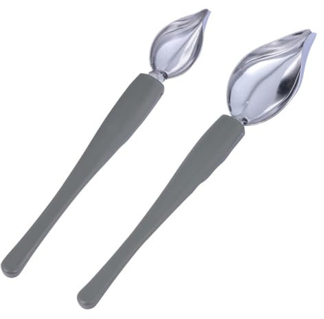 Luxshiny 2Pezzi Cucchiaio Decorativo Inossidabile per Decorazioni Torte e Piatti Occidentali Strumento per Salsa e Presentazione Gourmet