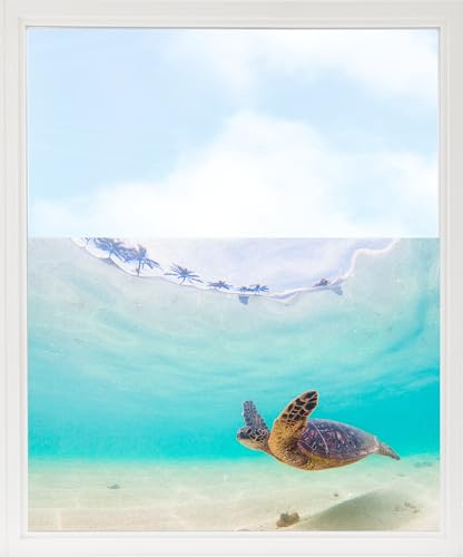 GRAZDesign Fensterfolie Bad Blickdicht bunt Schildkröte - Sichtschutzfolie maritim Badezimmer - für Dusche & Fenster - 80x57cm / Silbergrau