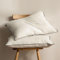 BPC cuscino in piuma e piumino organica, 50x75 set di 2, Lussuoso cuscino letto d'albergo a 3 camere, Cuscino 50x75 cm imbottitura in piuma d'oca con fodera 100% cotone, Bianco