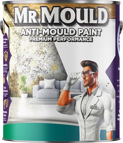Mr Mould Anti Damp Paint | Damp Seal Prevent Build-up of Mildew | Damp Proof Paint for Wall and Ceiling | Anti Condensation (Light Grey, 1 Liter)