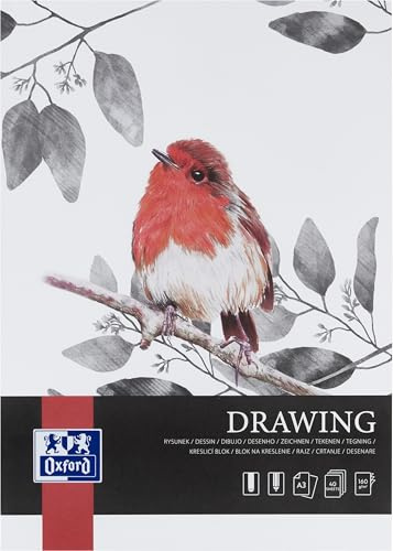 Oxford Art Zeichenblock, säurefreies, recycelbares Papier (Zeichenblock A3 40 Blatt 160g/m², 2)