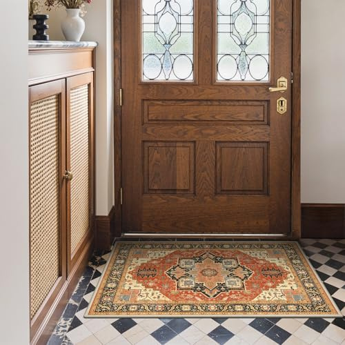 BEIMO Tapis Entree Interieur Vintage 60x90cm Lavable en Machine