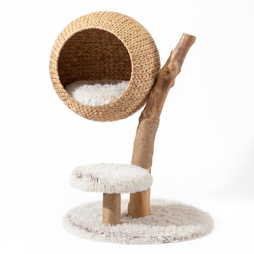 Fudajo Arbre à Chat - 83 cm de Haut - Meuble grattage félin Peluche - Couleur crème-Marron - avec Panier de Couchage, sisal, et Plate-Forme