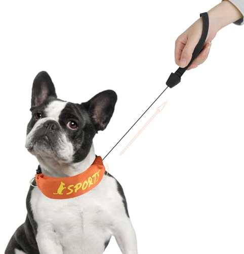NAMSAN 2-in-1-Hundehalsband mit Rollleine Leine Verstellbares Hundehalsband Eingebaut Ausziehbar Hundeleine mit Griff für Kleine und Mittlere Hunderassen
