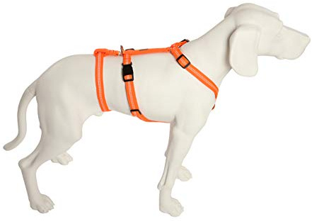 Feltmann NoExit Hundegeschirr® - ausbruchssicher, Panikgeschirr, Reflexband, Polsterung, Super Soft, Neonorange, Bauchumfang 55-75 cm, 20 mm Bandbreite