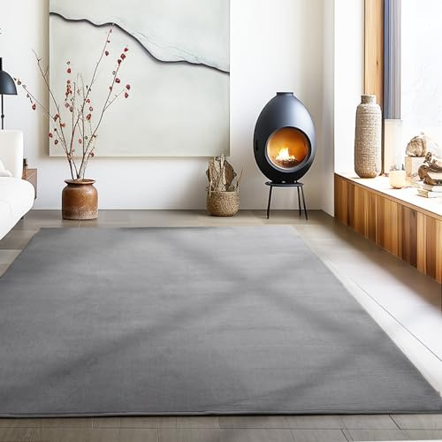 Carpetsale24 Tappeto per Soggiorno 120x170 cm Grigio Lavabile, Pelo Corto, Design Moderno, Monocromatico - Tappeto Lavabile Antiscivolo Extra Morbido e Fluffy per Camera da Letto, Cucina