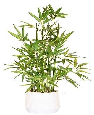 365 Blooming Decor - Planta de bambú sintético en Maceta Blanca de 18 Pulgadas de Alto, árbol de bambú Artificial de Lujo en Maceta Blanca para el hogar, Oficina, Cocina, encimera, decoración de