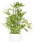 365 Blooming Decor 18 inch Tall White Potted Faux Bamboo Plant- Luxury Artificial Bamboo Tree in White Pot for Home, Office, Kitchen, Counter Top, Indoor Decor, Money Tree, Lucky Bamboo Tree.