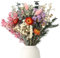 Lot de 30 fleurs séchées 10 types de plantes séchées
