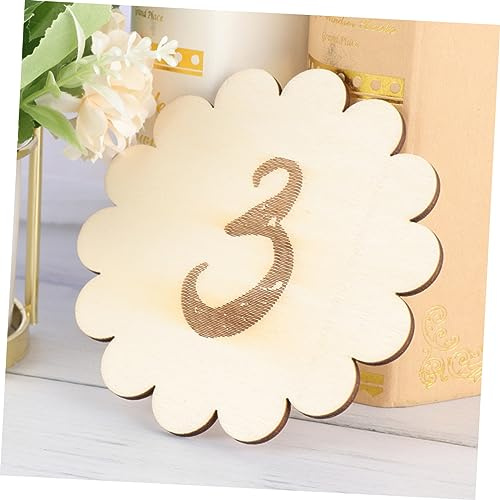 LOLIPPYY 12 Stück Teiliges Meilensteinkarten Holz mit Spitzen Design Kreative Monats und Geburtstagskarten für Junge Mädchen Sichere Langlebige Fotokarten als für Jungen und Mädchen