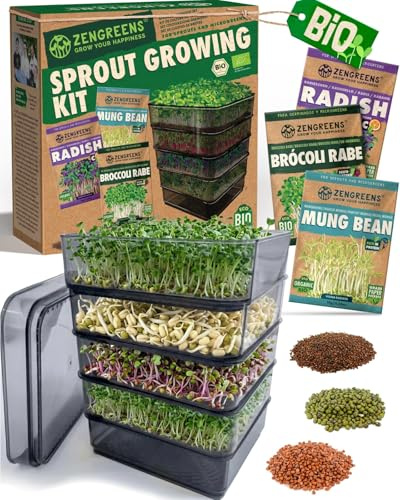 zengreens® Germinador de Pisos Bio - Torre de germinación de 4 Niveles - Incluye: Torre y Semillas (brócoli, rábano y Frijoles Mungo)