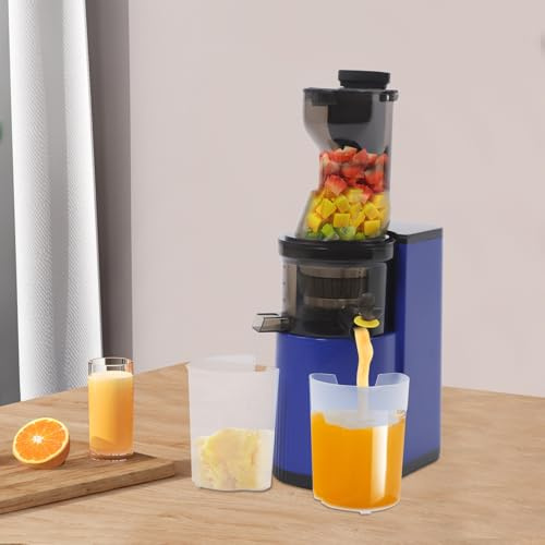 Slow Juicer juicepress 800 W 48 varv/min, 500 ml med sapplikatorbehållare (blå) | Juicepress grönsaker och frukt, bakåtfunktion, separat juice och pressutlopp, avtagbara delar, rengöringsborste, juicekoppar