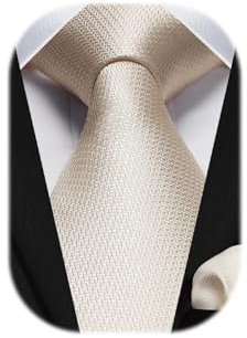HISDERN Krawatten für Herren Beige Krawatte mit Einstecktuch Formelle Klassische Hochzeit Herrenkrawatte und Taschentuch Set für Männer