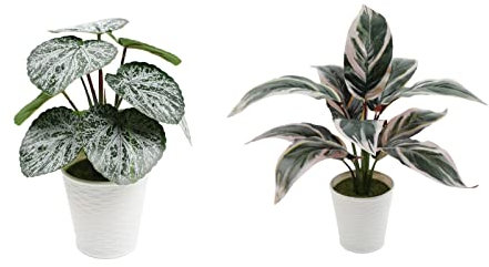 Artificial Fake Plants 2Pcs Artificial Green Plant Potted Monstera Leaf Green Rose Fake Plant Home Decoration Table Top, Trinkets, Bonsai, Begonia And Wannian Qing