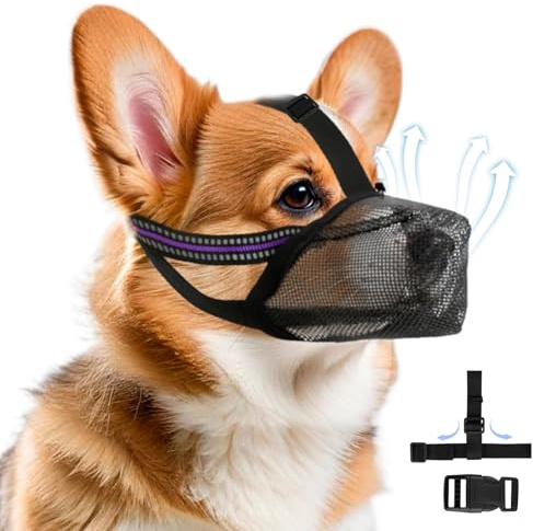 Maulkorb für Hunde Weicher Netzmaulkorb Atmungsaktiver Mesh für Kleine Hunde Reflektierende Einstellbare Hundemaulkorb zum Verhindern Fressen Lecken Bellen Ermöglicht Hecheln und Trinken (S Schwarz)