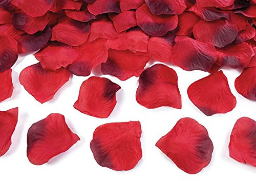 PartyDeco Rosenblätter – Blütenblätter Streudeko Hochzeit Blätter Rosenblüten – Rot, 500 Stück
