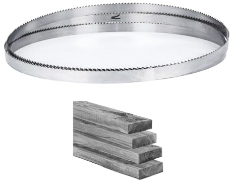 FRAISER Lame à ruban pour bois Crocoblade sur mesure - largeur 10mm - jusqu'à 2 mètres