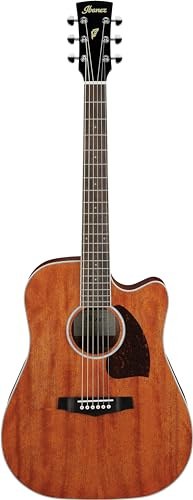 Ibanez Acoustic guitar / PF16MWCEOPN Standard
