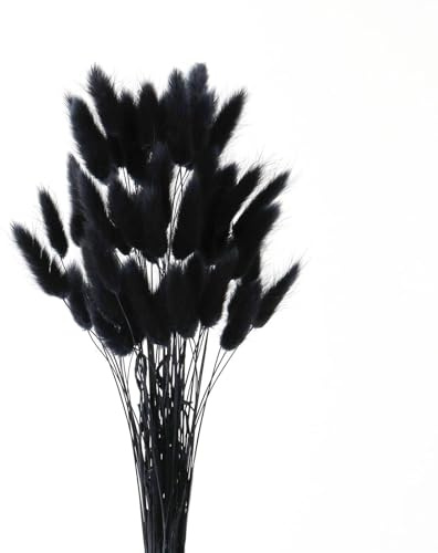 GIUSOBG Secas Naturales Cola de Conejo Flor 50Pzs Hierba de Pampas Secas 45CM Esponjosas Ramo de Flores Negros para la Sala de Estar del Hogar Decoración de Racimos de Flores