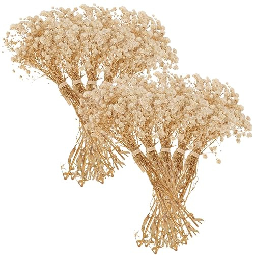 HOLIDYOYO Getrocknete Schleierkrautblüten Sträuße aus Naturmaterial 10 Handliche Trockenblumen Bündel Natürliche Tisch und Hochzeitsdeko Langlebige Vase Dekoration für Zuhause und Büro