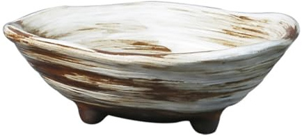 Toyvian Bol Décoratif Céramique Irrégulier pour Plantes Intérieur Et Extérieur Jardinière à Bonsaï Et Pot