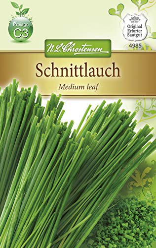 Chrestensen Schnittlauch 'Medium leaf' mittelgrobröhrig mehrjährig (Allium schoenoprasum