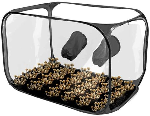 Nixieen Mushroom Growing Store - Productos y materiales para cultivar en casa, kit de cultivo completo con todos los suministros necesarios, perfecto para jardineros urbanos