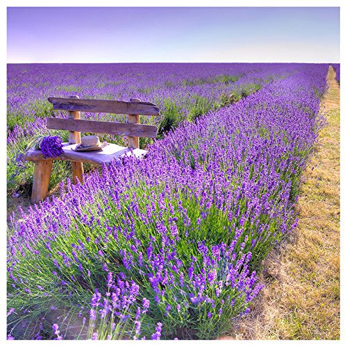 levandeo Glasbild 30 x 30 cm Wandbild Glas Lavendel Feldweg Landschaft Deko