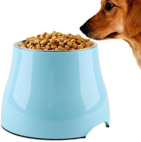 Facynde Schräge Katzenschale,Katzennäpfe Erhöhter Katzennapf - Edelstahl-Katzennapf für Futter, Wasser, Anti-Erbrechen, erhöht mit Ständer, ergonomisch angehoben, geneigt, geneigt, einzelne Katze