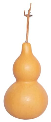 Syglawnd Zucche secche, Bottiglia di Zucca, zucche secche Naturali da 7, 48-9, 45 Pollici per Artigianato di Pittura Fai-da-Te Decorazione Desktop per Ufficio Domestico, Bottiglia d'Acqua di Zucca