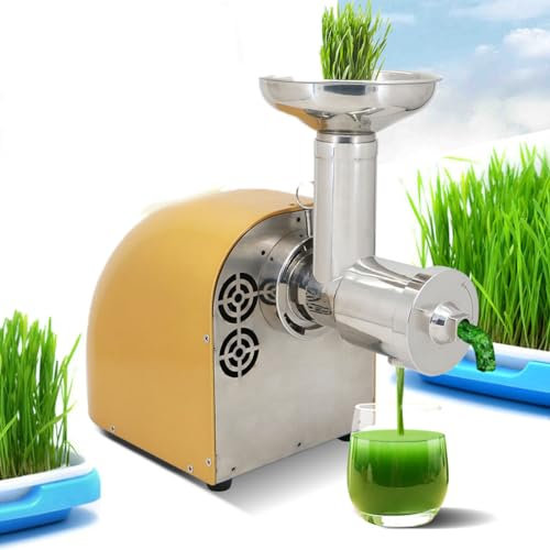 Spremiagrumi Commerciale a Masticazione Lenta da 250 W, Macchina per Succo Centrifuga in Acciaio Inossidabile con Funzione Inversa, Spremiagrumi Elettrico per Separazione della Sansa