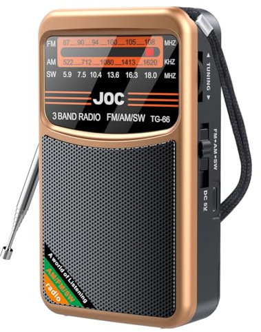 CRGANGZY Radio Portable - Digital Radio Mains or Battery Powered, SW/AM/FM Radio with Stereo Speaker Earphone Jack, Small Work/Kitchen Rechargeable Radio, Extra Large Color Screen