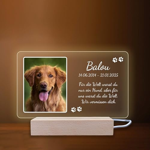 INDIGOS UG - LED Lampe personalisiert - Gedenktafel - quer, Bild klein - Haustier, Hund, Katze - Wunschbild, Wunschtext - personalisierte Lampe - Geschenk, Familie - optionale Lampe warmweiß