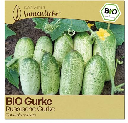 Samenliebe BIO Gurken Samen | Freilandgurke Russische Gurke - robust & klein - samenfestes BIO Saatgut