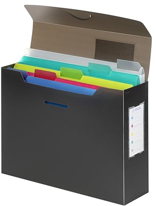 VIQUEL - Boite de classement A4 garni de 5 Sous Dossiers amovibles PROPYGLASS - Trieur A4 - Gris translucide