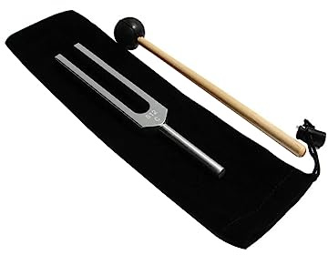 BESTonZON Stimmgabel Aus Klinischem Aluminiumlegierung Mit Silikonhammer Und Tragetasche Langlebig Präzise Resonanz Für Nerven Hörtests Für Schüler Und Medizinische Anwendung