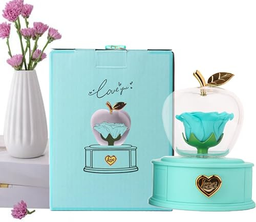 Nuova scatola regalo di Natale - Gem Box Presents, infinita rosa floreale conservata | Regali di scatola di gioielli di rosa per il suo conservato eterno conservato vero di