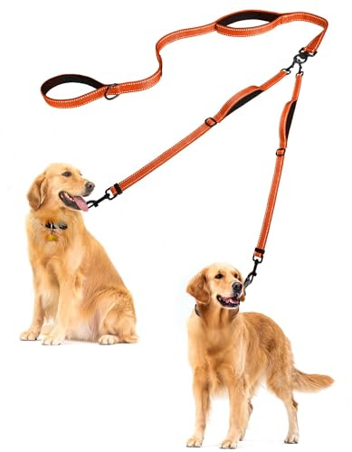 PetBonus dubbelhundkoppel, trasselfritt dubbelkoppel, reflekterande promenad- och träningskoppel, 4 bekväma vadderade handtag för 2 hundar med hopfällbar skål och bajspåsar (orange, stor)